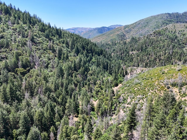 0000 E Fork Rd, French Gulch, CA 96033