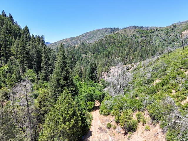 0000 E Fork Rd, French Gulch, CA 96033