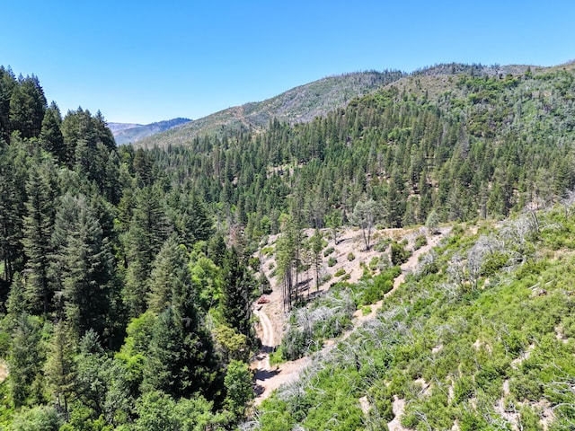 0000 E Fork Rd, French Gulch, CA 96033