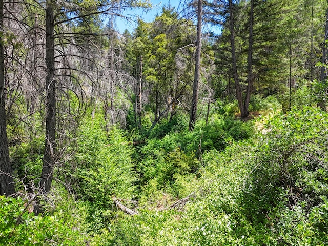 0000 E Fork Rd, French Gulch, CA 96033