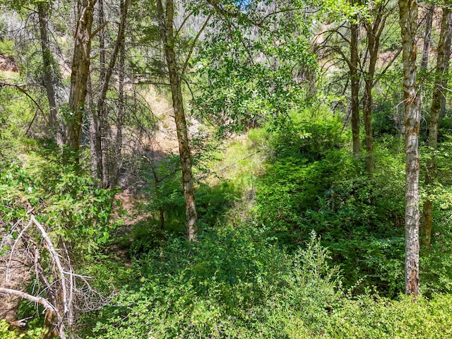 0000 E Fork Rd, French Gulch, CA 96033