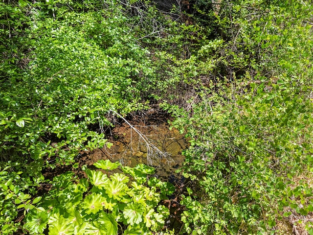0000 E Fork Rd, French Gulch, CA 96033