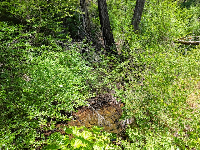 0000 E Fork Rd, French Gulch, CA 96033