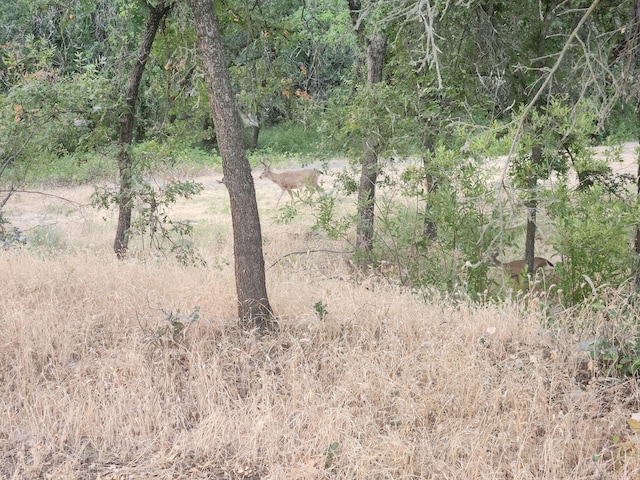 0000 E Fork Rd, French Gulch, CA 96033