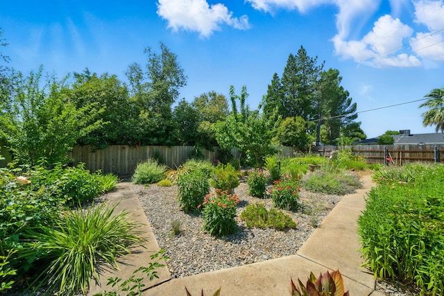 6966 Granada Dr, Redding, CA 96002 - view of fenced backyard