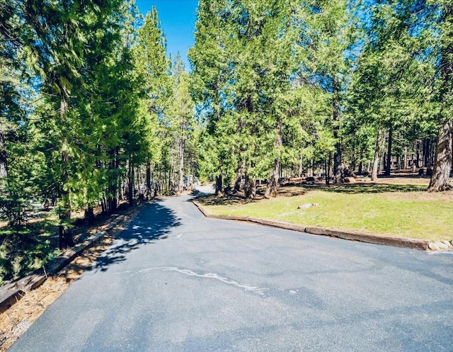 30821 Bambi Dr, Shingletown, CA 96088 - view of road