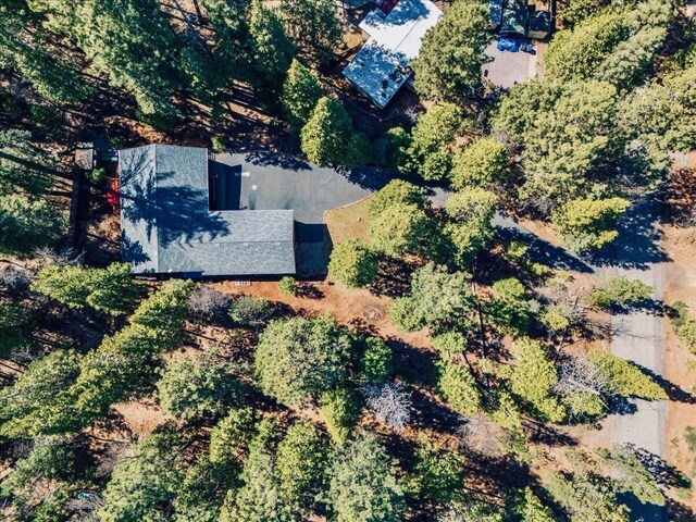 30821 Bambi Dr, Shingletown, CA 96088 - view of property location