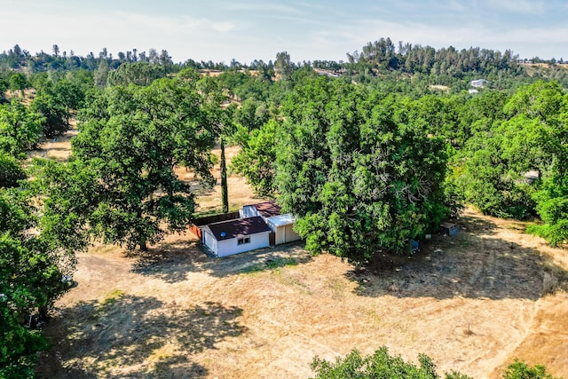 10769 Oak Run Rd, Oak Run, CA 96062 - photo 2