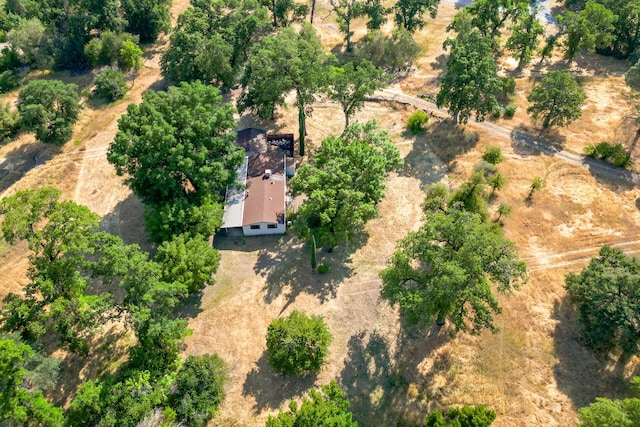 10769 Oak Run Rd, Oak Run, CA 96062 - photo 3