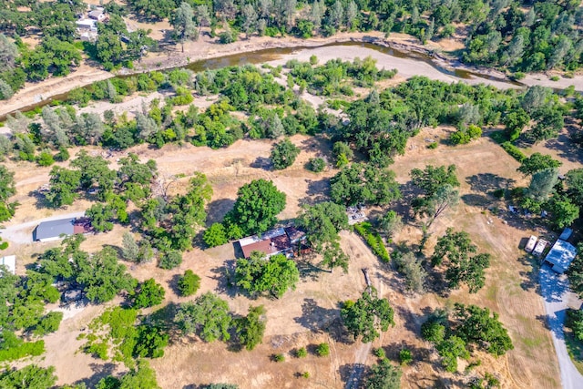 10769 Oak Run Rd, Oak Run, CA 96062 - photo 9