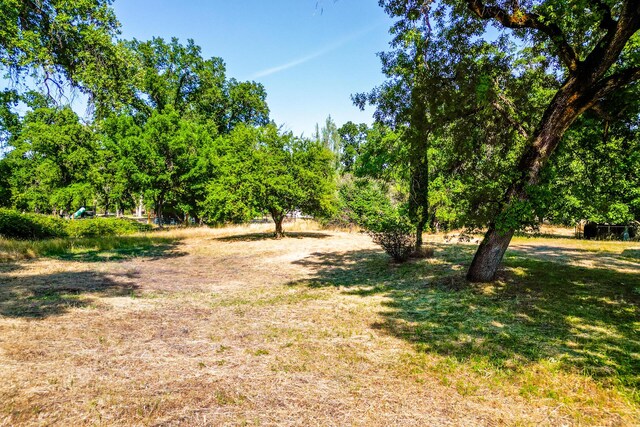 10769 Oak Run Rd, Oak Run, CA 96062 - photo 12