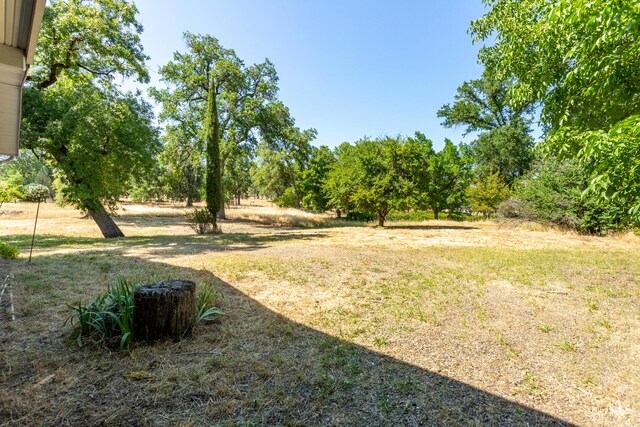 10769 Oak Run Rd, Oak Run, CA 96062 - photo 22