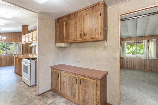 10769 Oak Run Rd, Oak Run, CA 96062 - photo 33