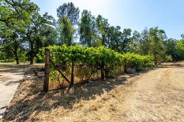 10769 Oak Run Rd, Oak Run, CA 96062 - photo 44