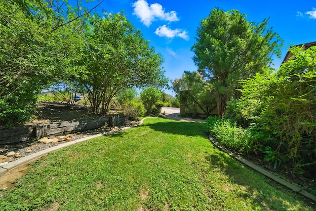 2173 Oak Ridge Dr, Redding, CA 96001 - view of grassy yard