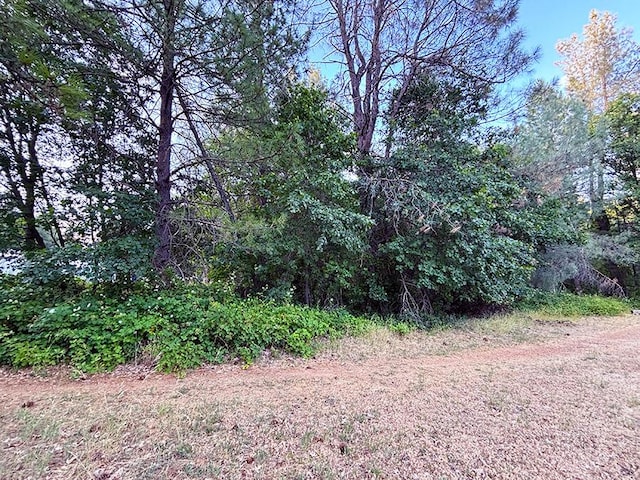 1.04ACRE Lakeview Dr, Lakehead, CA 96051 - photo 5