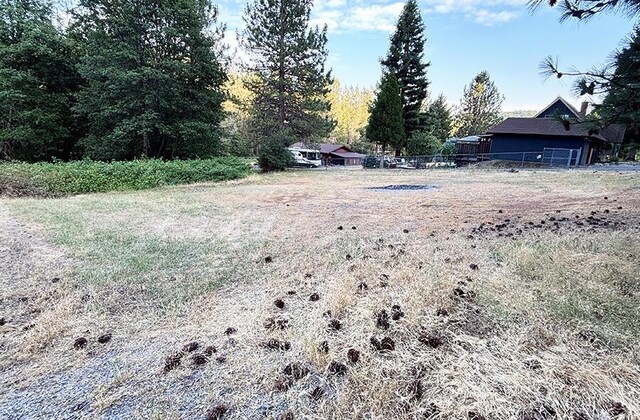 1.04ACRE Lakeview Dr, Lakehead, CA 96051 - photo 7