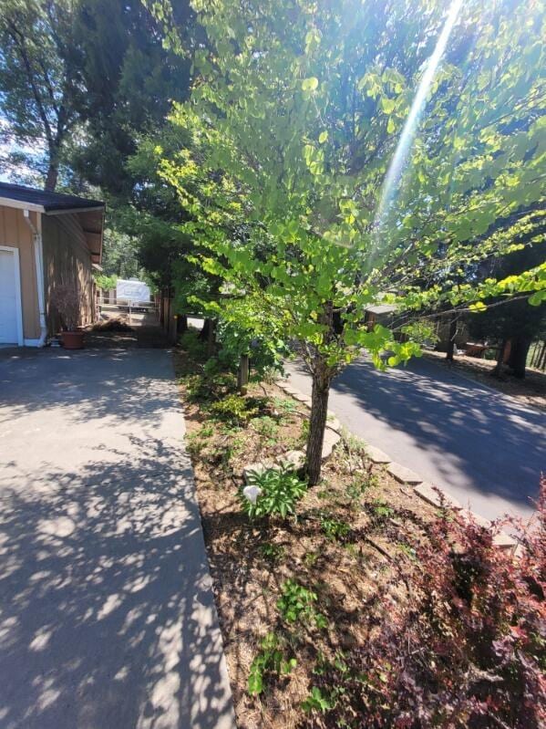 37023 Park Ave, Burney, CA 96013 - view of side of home featuring board and batten siding and driveway