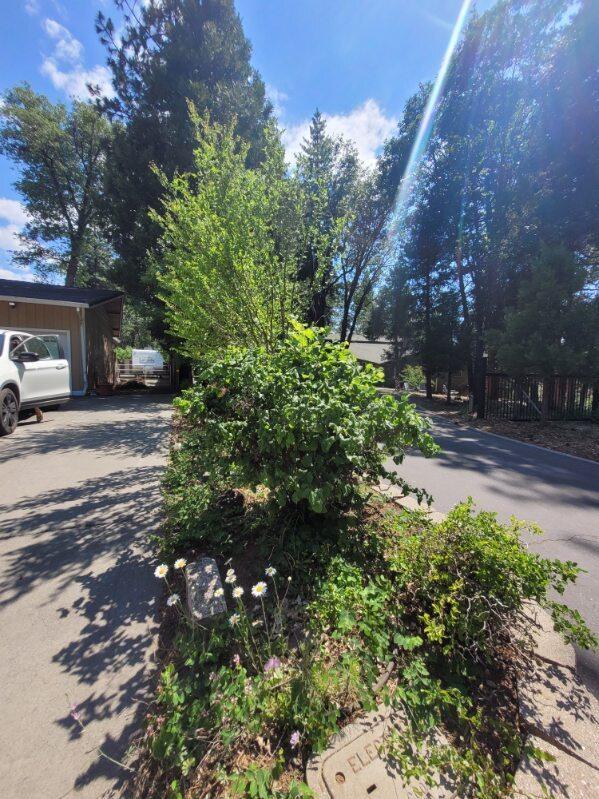 37023 Park Ave, Burney, CA 96013 - view of street