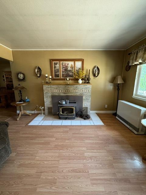 37023 Park Ave, Burney, CA 96013 - living area featuring wood finished floors and a wood stove