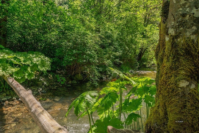 11221 Corral Bottom Rd, Big Bar, CA 96010 - view of nature