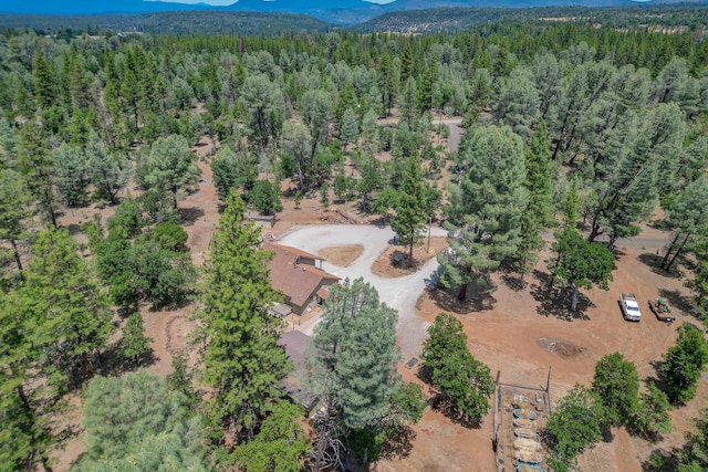 21652 Rattlebush Dr, Cassel, CA 96016 - photo 5