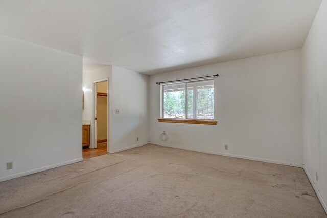21652 Rattlebush Dr, Cassel, CA 96016 - photo 23