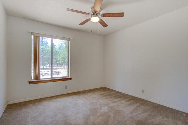 21652 Rattlebush Dr, Cassel, CA 96016 - photo 28