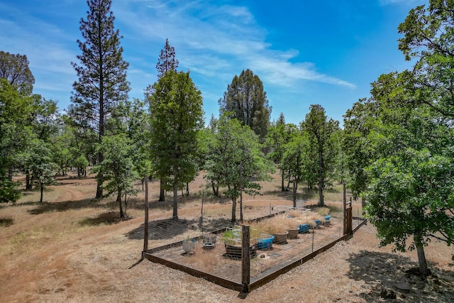 21652 Rattlebush Dr, Cassel, CA 96016 - photo 46