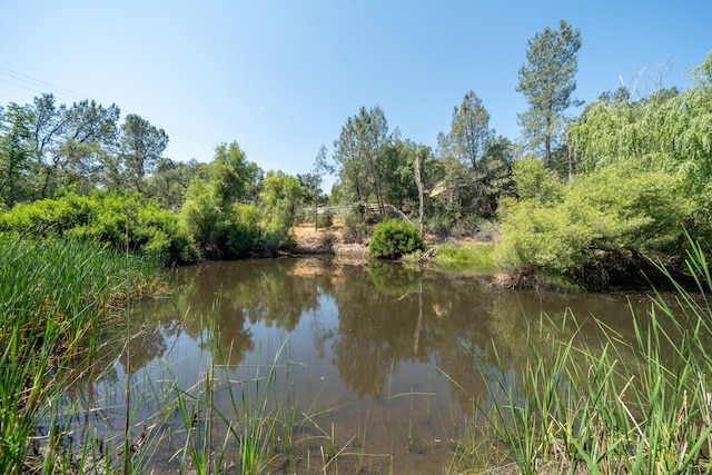 8846 Goldstone Ln, Redding, CA 96001 - photo 51