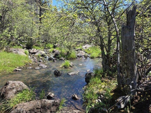 000 Pitville Rd, Mcarthur, CA 96056 - photo 1