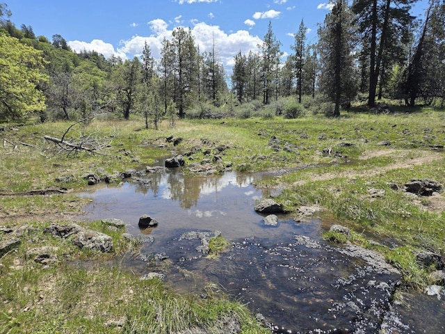 000 Pitville Rd, Mcarthur, CA 96056 - photo 2