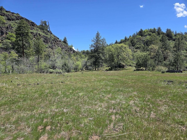 000 Pitville Rd, Mcarthur, CA 96056 - photo 4