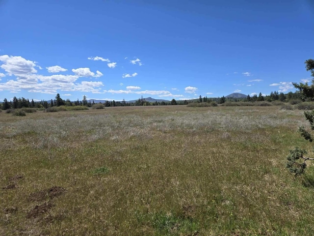000 Pitville Rd, Mcarthur, CA 96056 - photo 6