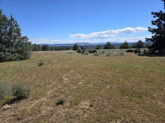 000 Pitville Rd, Mcarthur, CA 96056 - photo 7