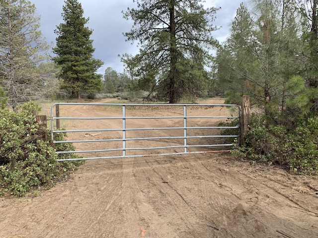 000 Pitville Rd, Mcarthur, CA 96056 - photo 8