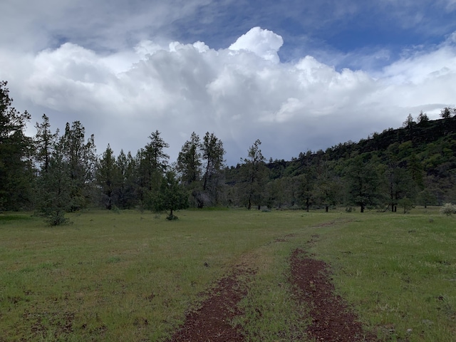 000 Pitville Rd, Mcarthur, CA 96056 - photo 9