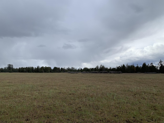 000 Pitville Rd, Mcarthur, CA 96056 - photo 10
