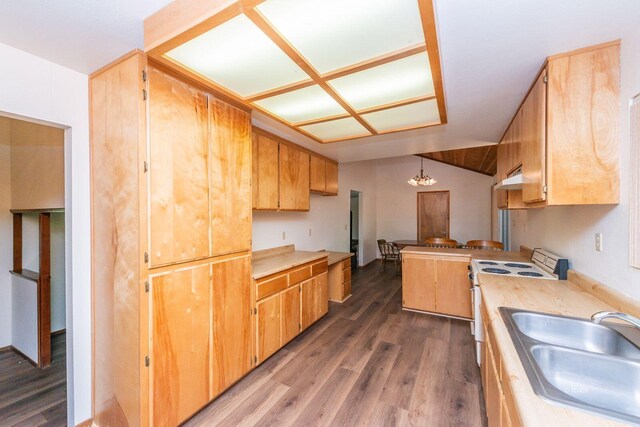 131 Northwoods Ests, Trinity Center, CA 96091 - kitchen featuring under cabinet range hood, dark wood-style floors, light countertops, and a chandelier