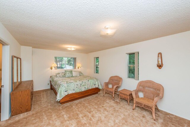 131 Northwoods Ests, Trinity Center, CA 96091 - bedroom featuring carpet floors and a textured ceiling