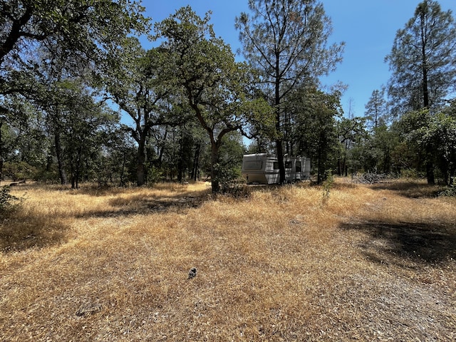 Hobart Rd, Shingletown, CA 96088 - photo 6