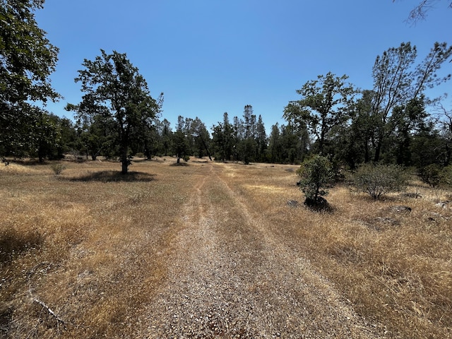 Hobart Rd, Shingletown, CA 96088 - photo 2