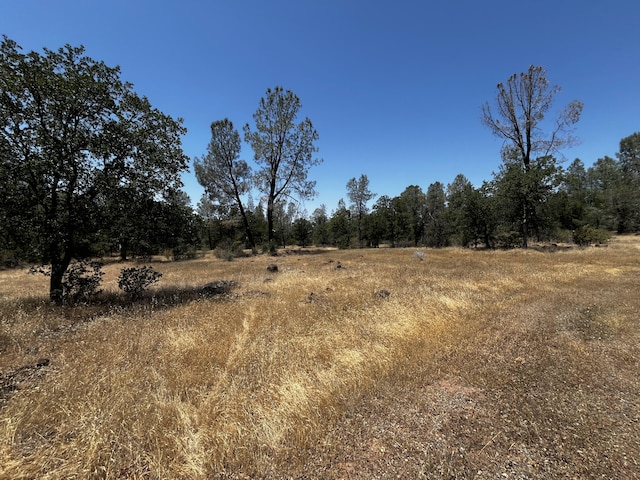 Hobart Rd, Shingletown, CA 96088 - photo 9