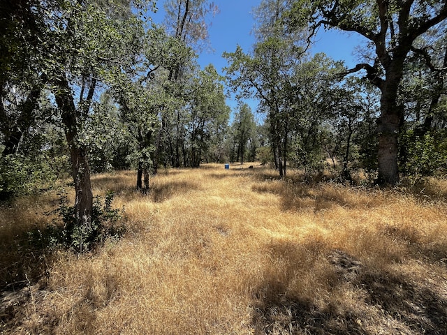 Hobart Rd, Shingletown, CA 96088 - photo 7