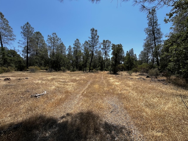 Hobart Rd, Shingletown, CA 96088 - photo 4