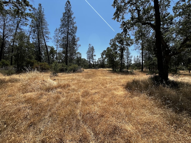 Hobart Rd, Shingletown, CA 96088 - photo 10
