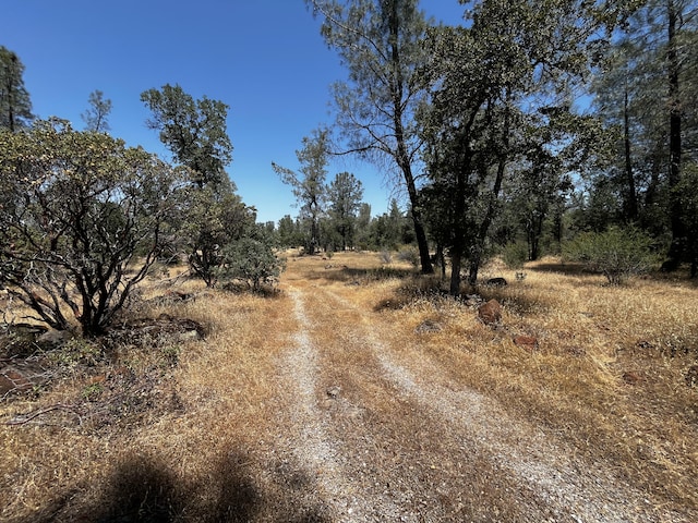 Hobart Rd, Shingletown, CA 96088 - photo 3