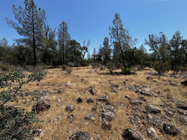 Hobart Rd, Shingletown, CA 96088 - photo 8
