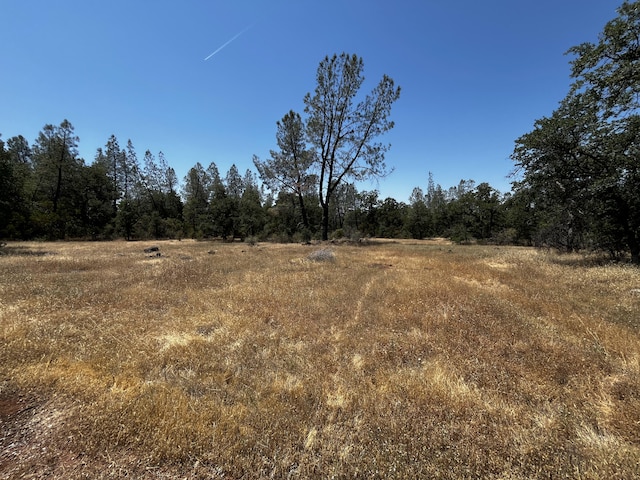 Hobart Rd, Shingletown, CA 96088 - photo 5