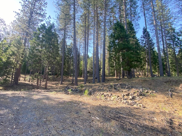 15218 Arrow Point Dr, Oak Run, CA 96069 - photo 2
